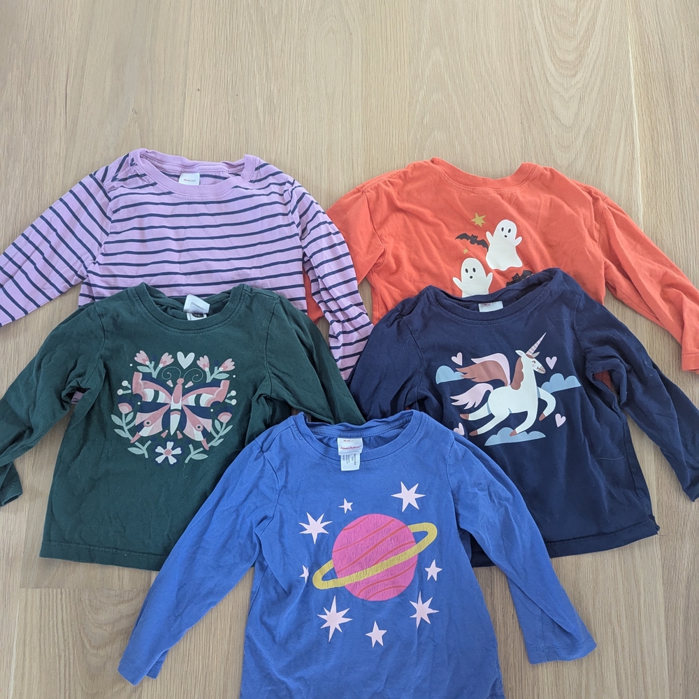 Lot Of 5 Long Sleeve T Shirts Hanna Andersson Size 3T